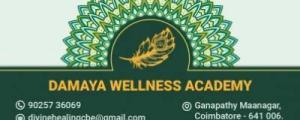 Damaya Wellness Academy