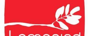 TAMARIND EVENT MANAGEMENT SOLUTIONS