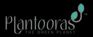 PLANTOORAS