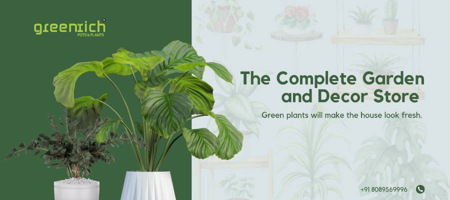 GREENRICH POTS & PLANTS