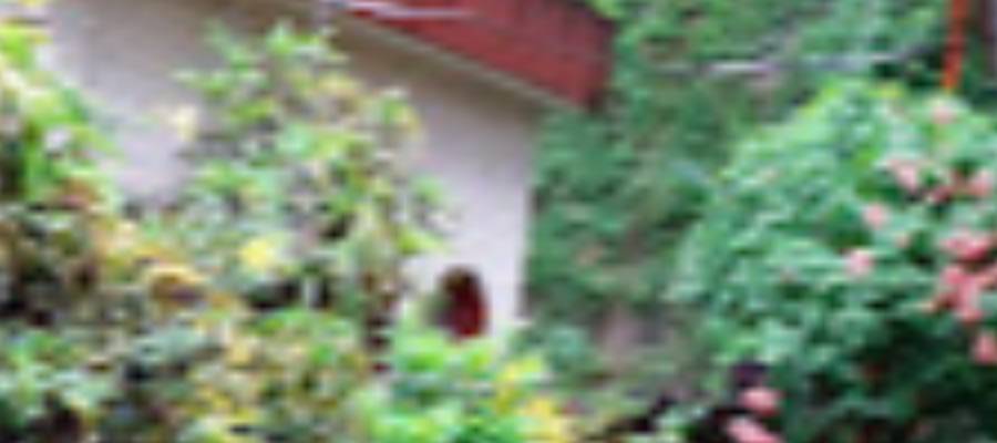 YWCA LADIES HOSTEL