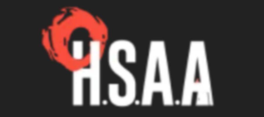 HSAA: Luxury Interior Designers in Delhi