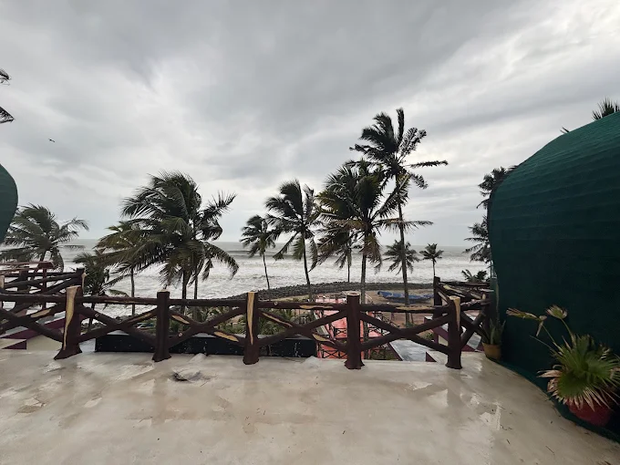 Authentic Flavors & Modern Cuisine