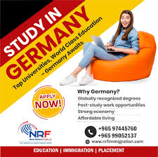 New Realm Education,HR & Immigration Consultancy