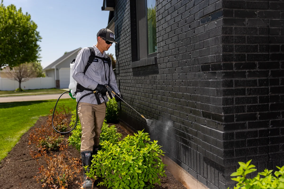 PEST SHIELD PEST CONTROL