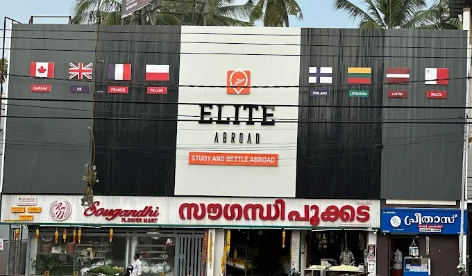 Elite Abroad