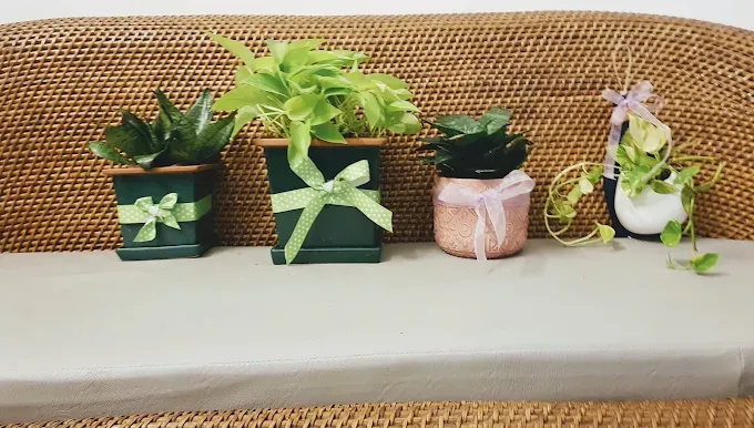 Home Kraft