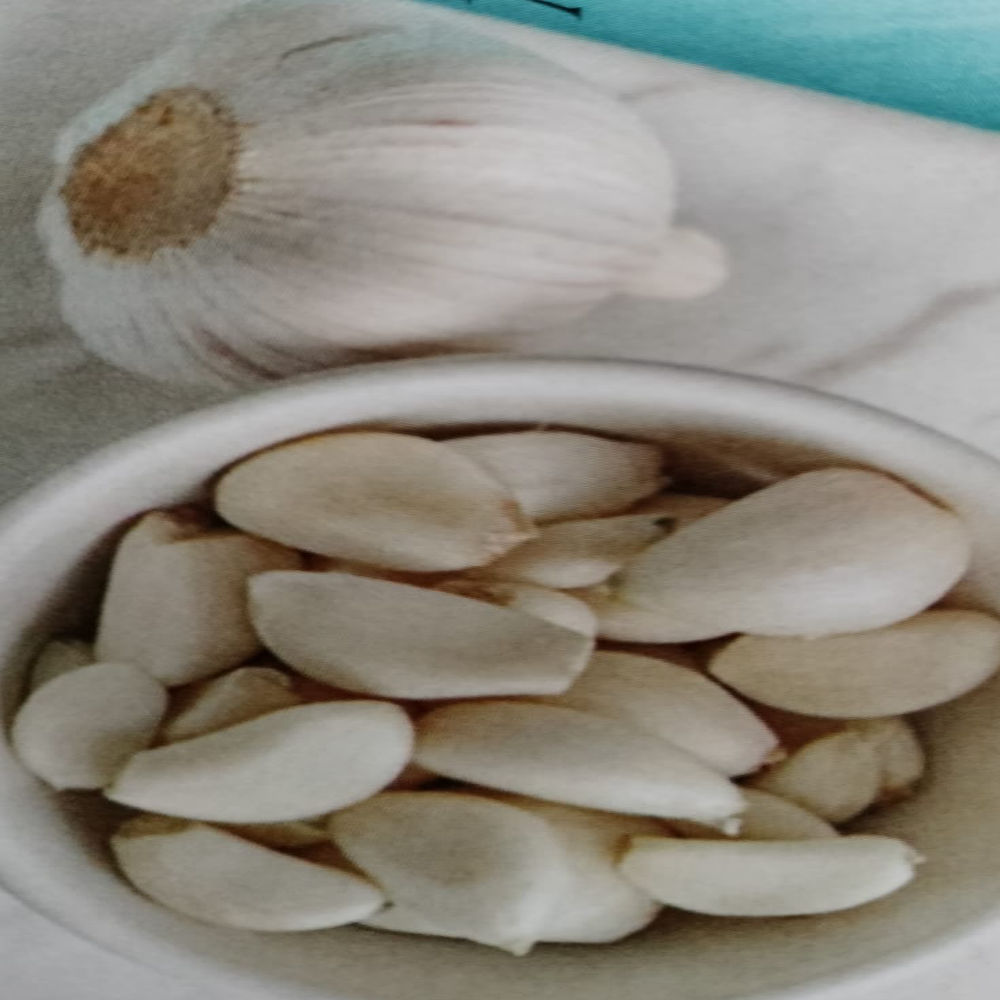 MAMPILLY GARLICS